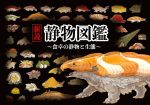 New Story: Seibutsuzukan Illustrated Book - Seibutsu and Ecology of the Dining Table